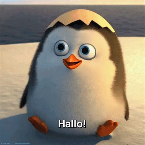 hallo gif kostenlos|hello meme cute.